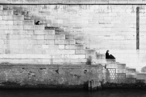 Cobble Stairs Along Waterway