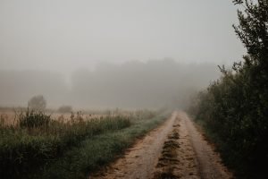 Muddy Road
